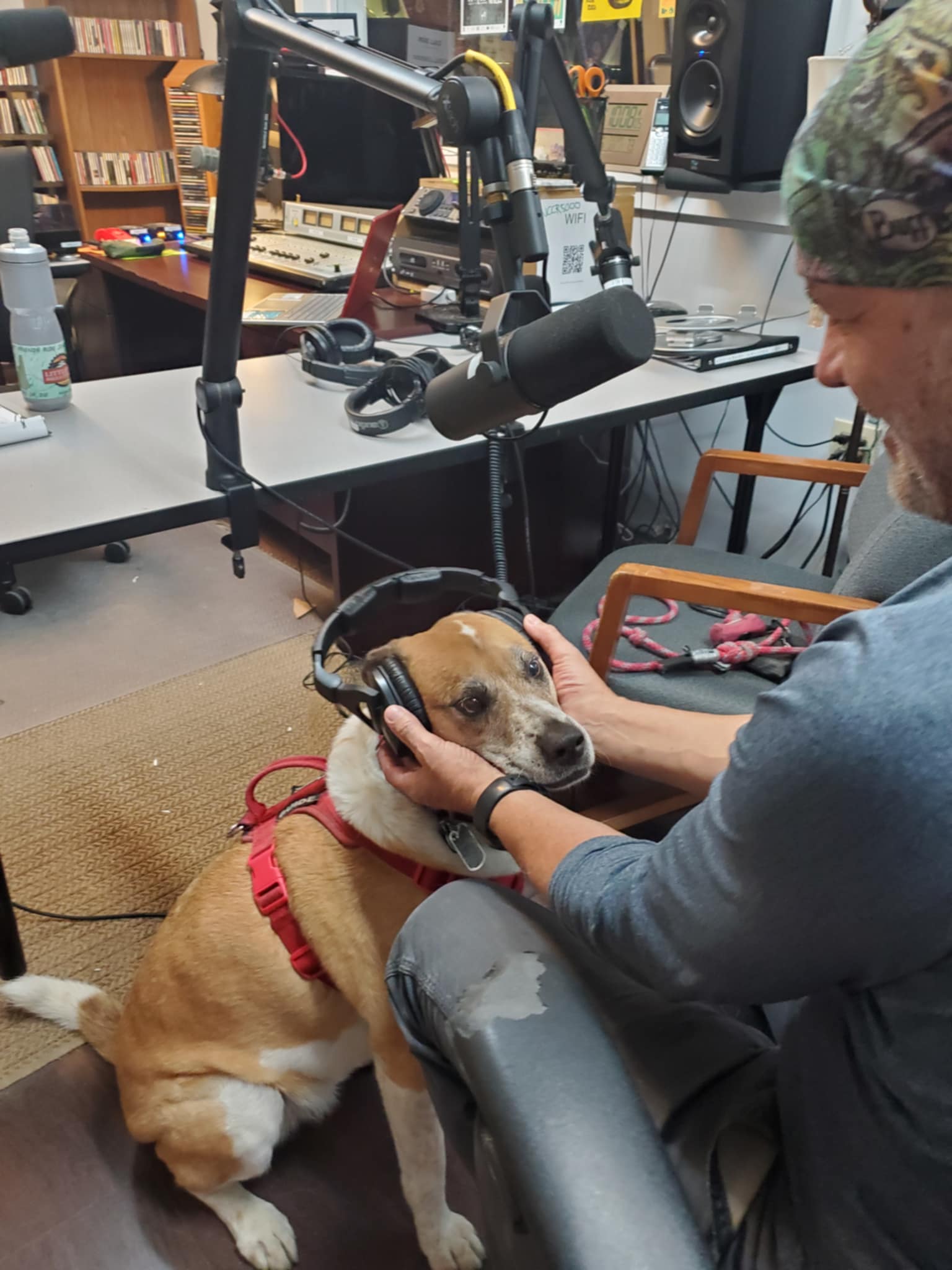 - the north of normal podcast with amanda mckeen
